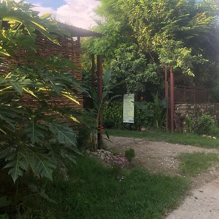 Tara Guesthouse - Sauraha,Chitwan Kültér fotó