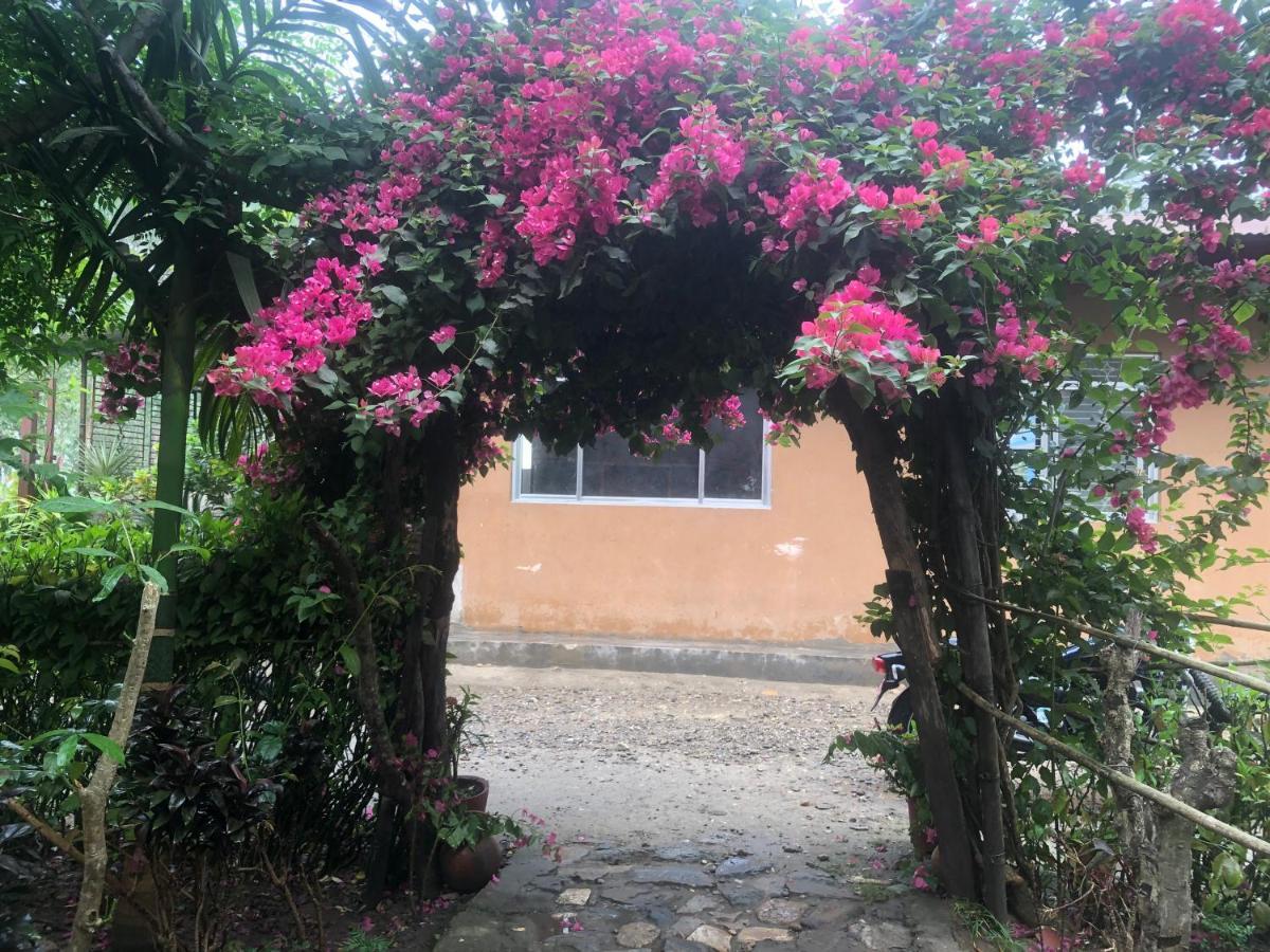 Tara Guesthouse - Sauraha,Chitwan Kültér fotó