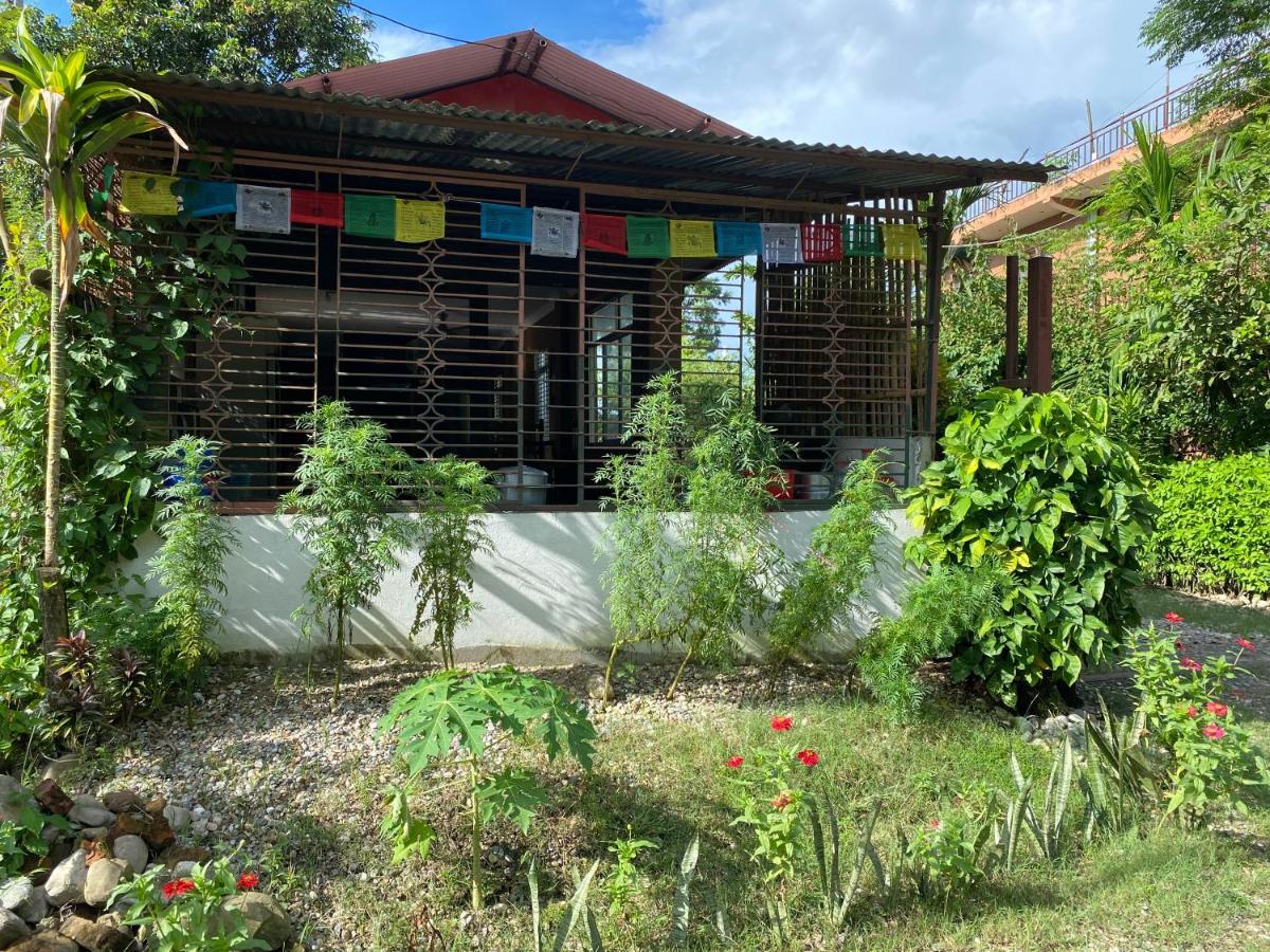 Tara Guesthouse - Sauraha,Chitwan Kültér fotó