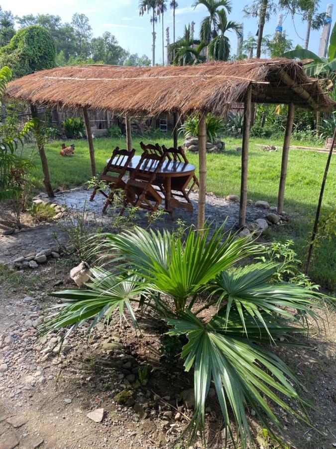 Tara Guesthouse - Sauraha,Chitwan Kültér fotó