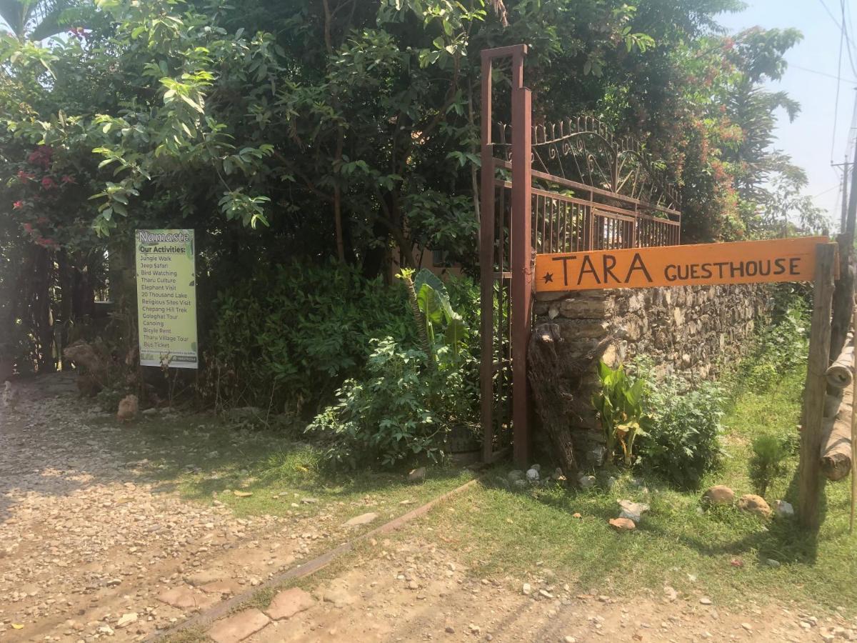 Tara Guesthouse - Sauraha,Chitwan Kültér fotó