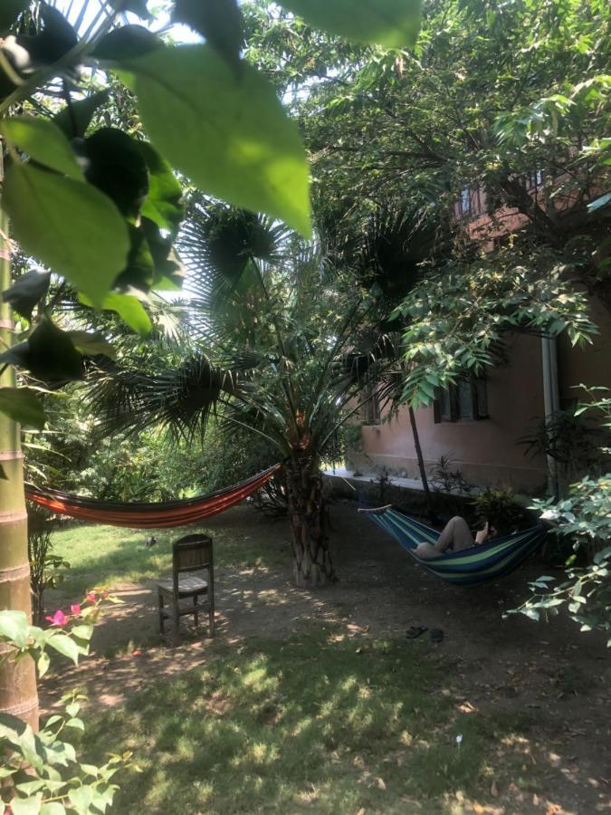 Tara Guesthouse - Sauraha,Chitwan Kültér fotó