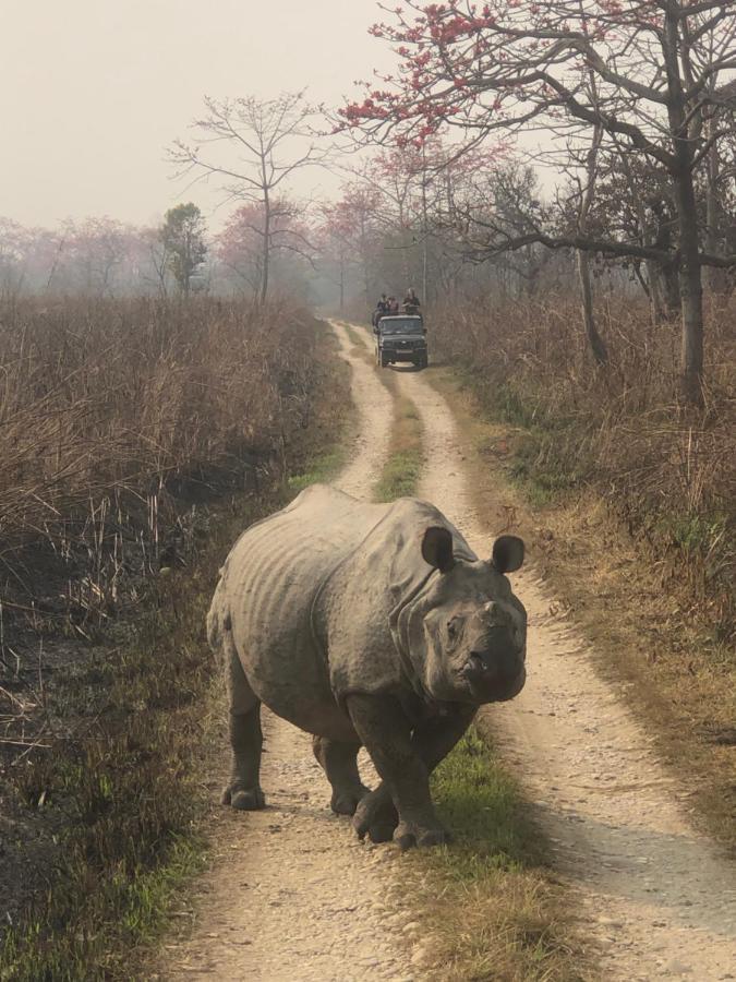 Tara Guesthouse - Sauraha,Chitwan Kültér fotó