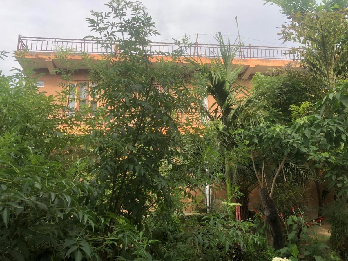 Tara Guesthouse - Sauraha,Chitwan Kültér fotó