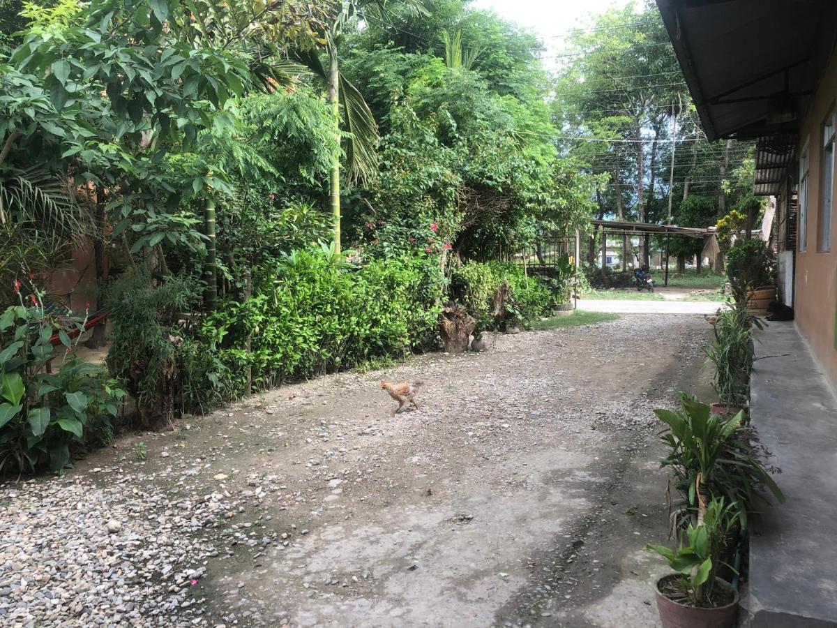 Tara Guesthouse - Sauraha,Chitwan Kültér fotó