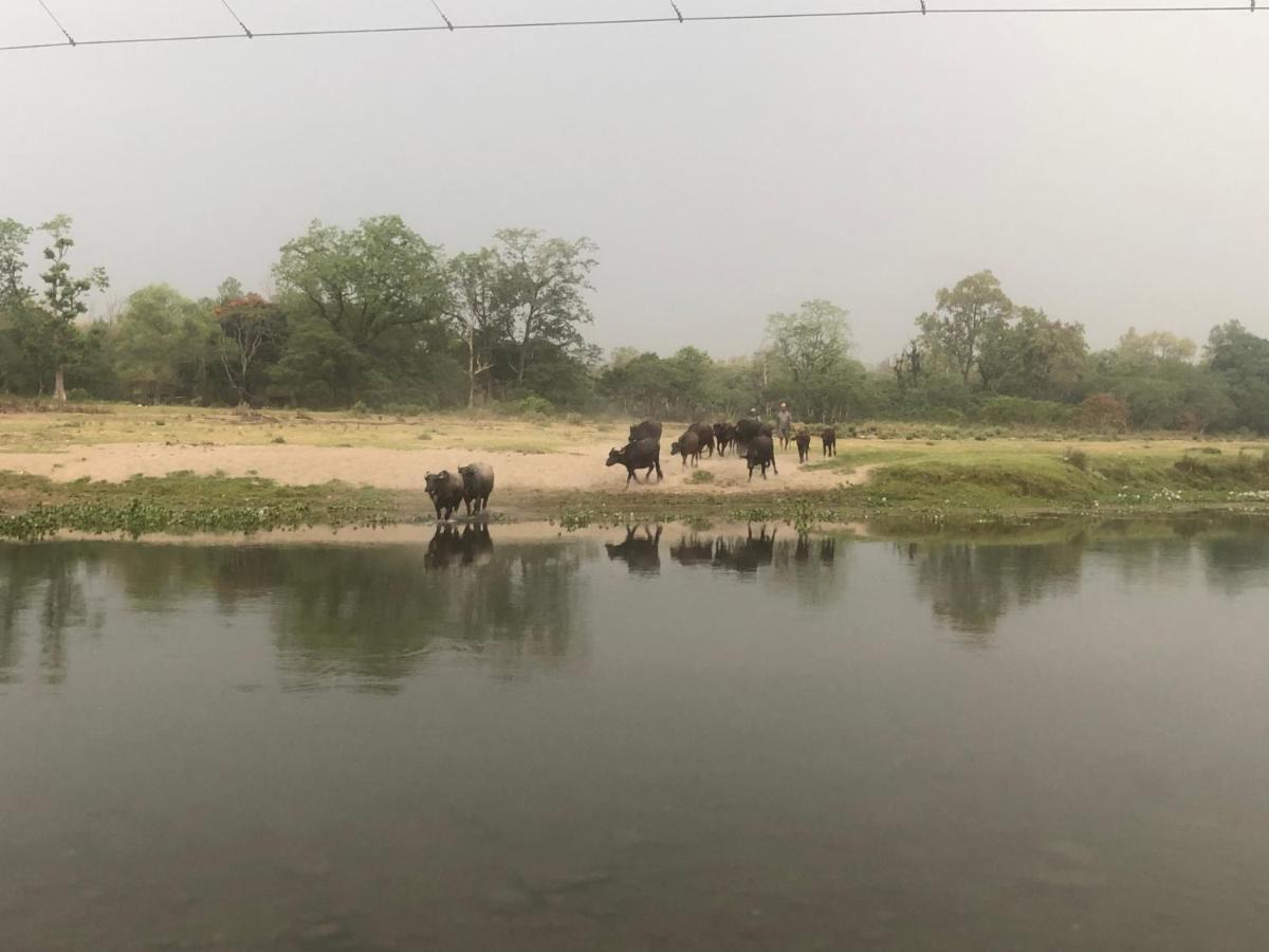 Tara Guesthouse - Sauraha,Chitwan Kültér fotó