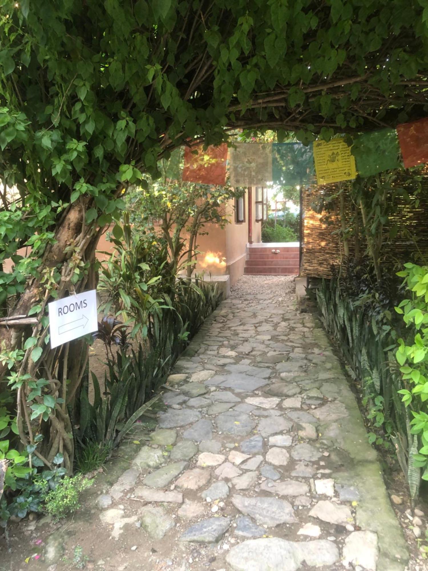 Tara Guesthouse - Sauraha,Chitwan Kültér fotó