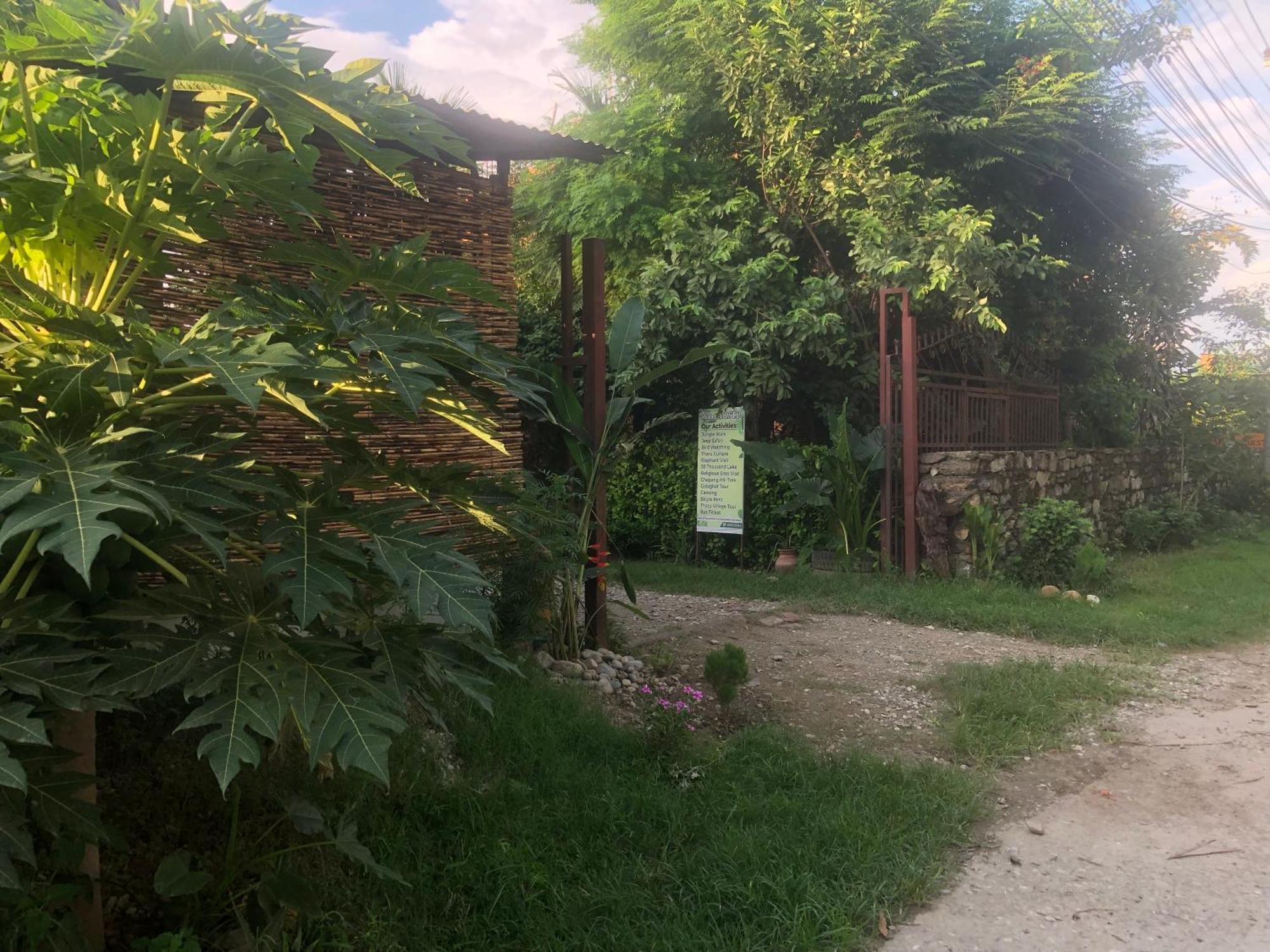 Tara Guesthouse - Sauraha,Chitwan Kültér fotó
