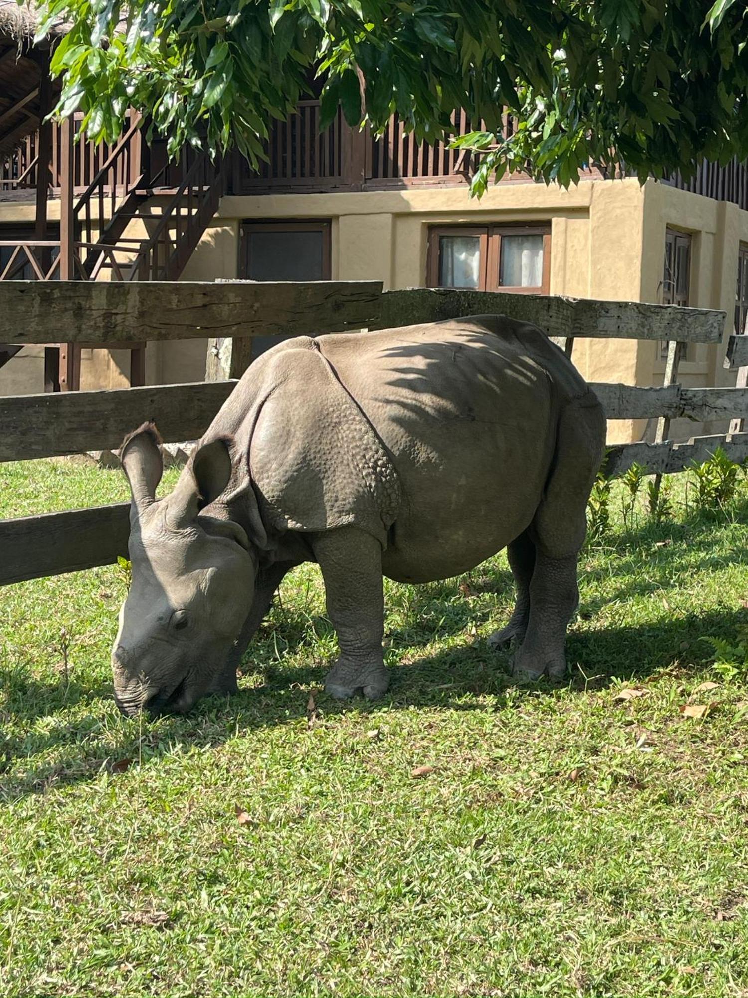 Tara Guesthouse - Sauraha,Chitwan Kültér fotó